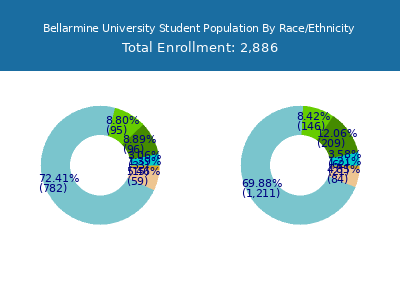 Bellarmine University 2025 Student Population by Gender and Race chart
