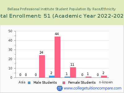 Bellasa Professional Institute 2023 Student Population by Gender and Race chart