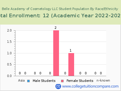 Belle Academy of Cosmetology LLC 2023 Student Population by Gender and Race chart