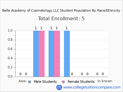 Belle Academy of Cosmetology LLC 2025 Student Population by Gender and Race chart