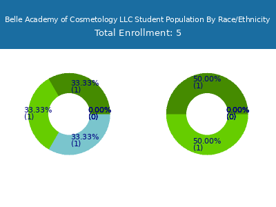 Belle Academy of Cosmetology LLC 2025 Student Population by Gender and Race chart