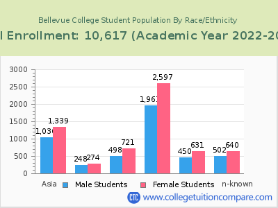 Bellevue College 2023 Student Population by Gender and Race chart