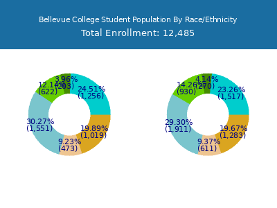 Bellevue College 2025 Student Population by Gender and Race chart