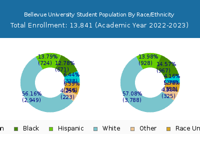Bellevue University 2023 Student Population by Gender and Race chart
