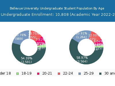 Bellevue University 2023 Undergraduate Enrollment Age Diversity Pie chart