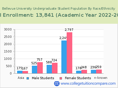 Bellevue University 2023 Undergraduate Enrollment by Gender and Race chart