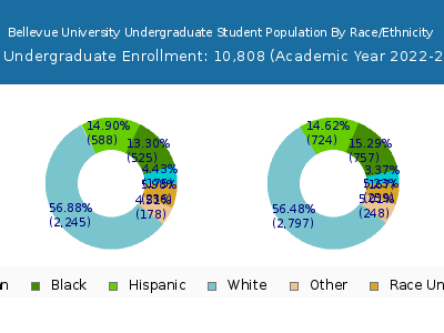 Bellevue University 2023 Undergraduate Enrollment by Gender and Race chart