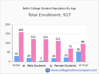 Bellin College 2024 Student Population by Age chart