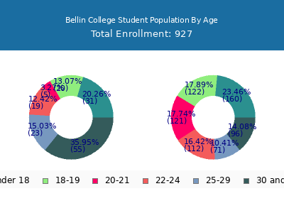 Bellin College 2024 Student Population Age Diversity Pie chart