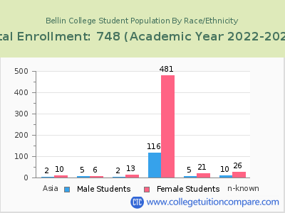 Bellin College 2023 Student Population by Gender and Race chart