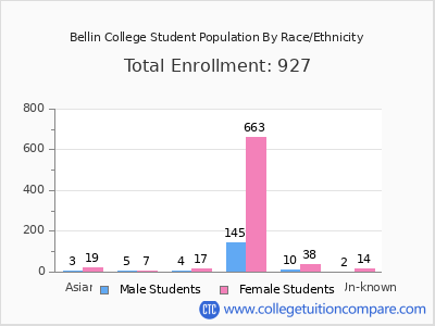 Bellin College 2025 Student Population by Gender and Race chart
