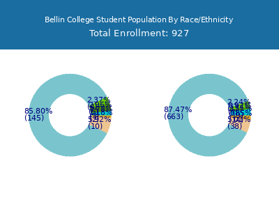 Bellin College 2025 Student Population by Gender and Race chart