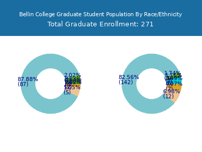 Bellin College 2025 Graduate Enrollment by Gender and Race chart