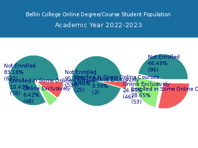 Bellin College 2023 Online Student Population chart