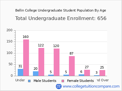 Bellin College 2024 Undergraduate Enrollment by Age chart