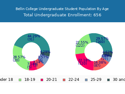 Bellin College 2024 Undergraduate Enrollment Age Diversity Pie chart