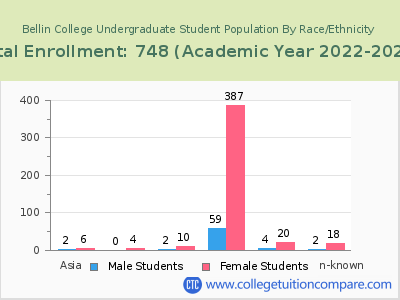 Bellin College 2023 Undergraduate Enrollment by Gender and Race chart