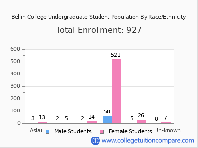 Bellin College 2025 Undergraduate Enrollment by Gender and Race chart