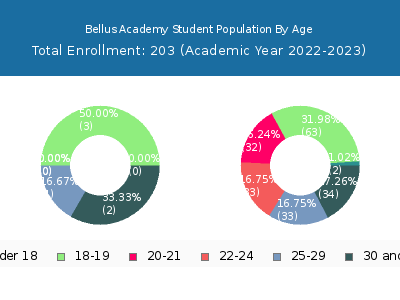 Bellus Academy 2023 Student Population Age Diversity Pie chart
