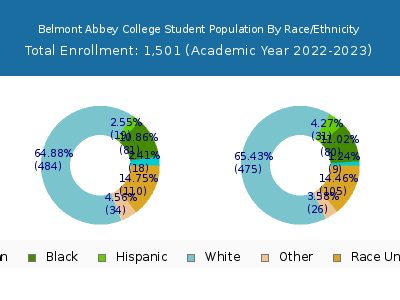 Belmont Abbey College 2023 Student Population by Gender and Race chart