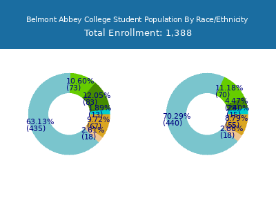 Belmont Abbey College 2025 Student Population by Gender and Race chart