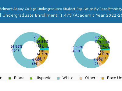 Belmont Abbey College 2023 Undergraduate Enrollment by Gender and Race chart