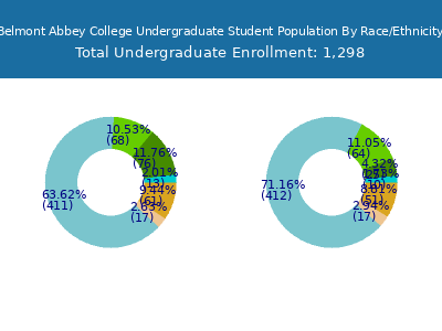 Belmont Abbey College 2025 Undergraduate Enrollment by Gender and Race chart