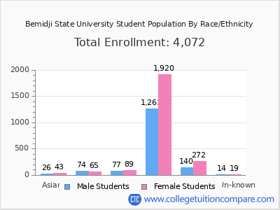 Bemidji State University 2025 Student Population by Gender and Race chart