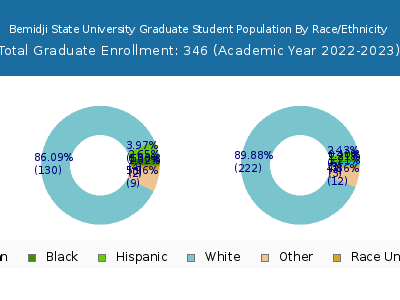 Bemidji State University 2023 Graduate Enrollment by Gender and Race chart