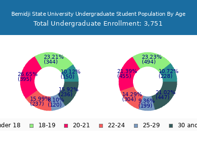 Bemidji State University 2024 Undergraduate Enrollment Age Diversity Pie chart
