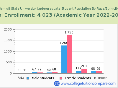 Bemidji State University 2023 Undergraduate Enrollment by Gender and Race chart