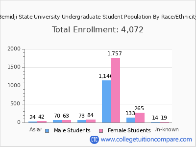 Bemidji State University 2025 Undergraduate Enrollment by Gender and Race chart