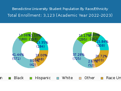 Benedictine University 2023 Student Population by Gender and Race chart