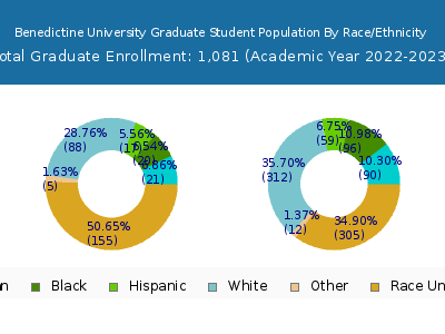 Benedictine University 2023 Graduate Enrollment by Gender and Race chart