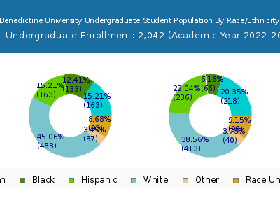Benedictine University 2023 Undergraduate Enrollment by Gender and Race chart