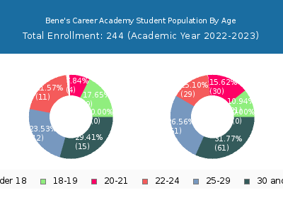 Bene's Career Academy 2023 Student Population Age Diversity Pie chart