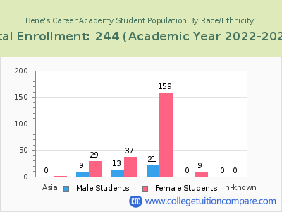 Bene's Career Academy 2023 Student Population by Gender and Race chart