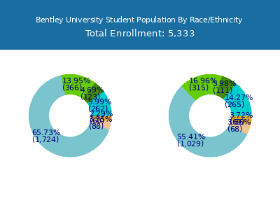 Bentley University 2025 Student Population by Gender and Race chart