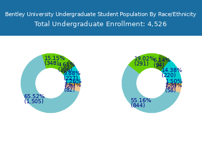 Bentley University 2025 Undergraduate Enrollment by Gender and Race chart