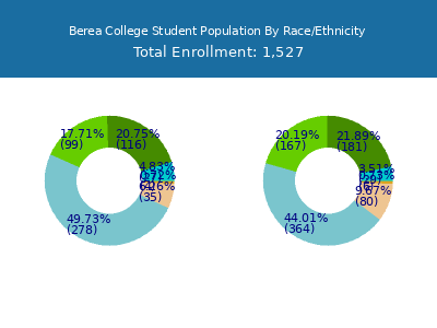 Berea College 2025 Student Population by Gender and Race chart