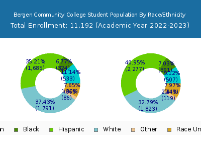 Bergen Community College 2023 Student Population by Gender and Race chart