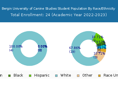 Bergin University of Canine Studies 2023 Student Population by Gender and Race chart