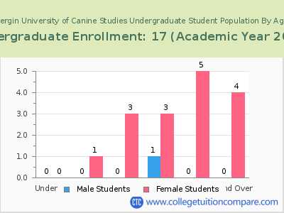 Bergin University of Canine Studies 2023 Undergraduate Enrollment by Age chart