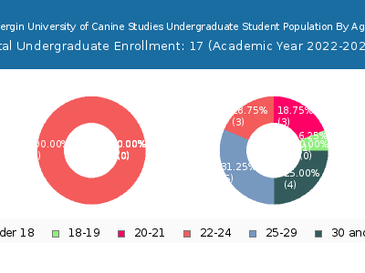 Bergin University of Canine Studies 2023 Undergraduate Enrollment Age Diversity Pie chart