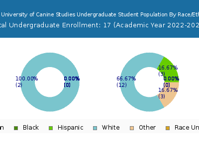 Bergin University of Canine Studies 2023 Undergraduate Enrollment by Gender and Race chart