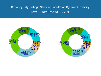 Berkeley City College 2025 Student Population by Gender and Race chart