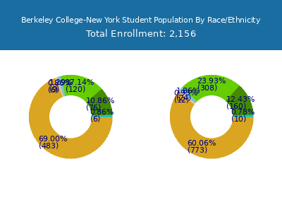 Berkeley College-New York 2025 Student Population by Gender and Race chart