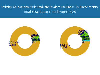 Berkeley College-New York 2025 Graduate Enrollment by Gender and Race chart