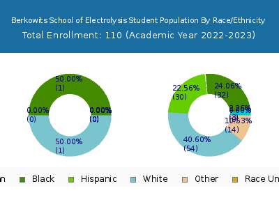 Berkowits School of Electrolysis 2023 Student Population by Gender and Race chart