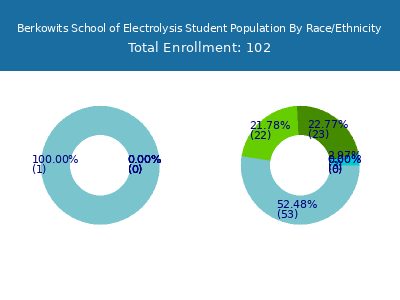 Berkowits School of Electrolysis 2025 Student Population by Gender and Race chart